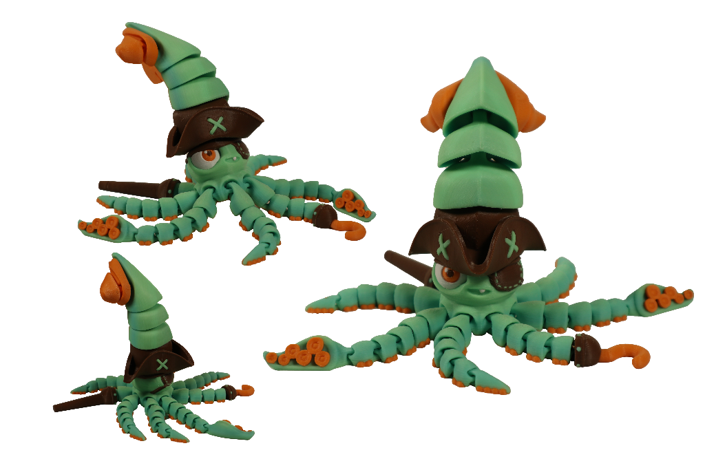 Pirate Squid
