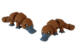 Mini Platypus