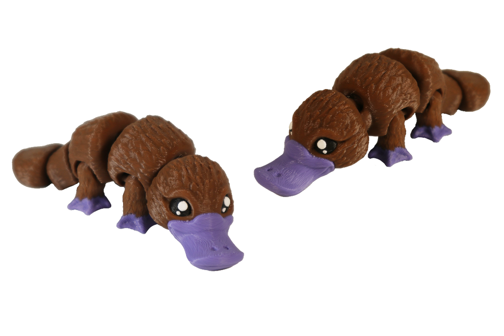 Mini Platypus