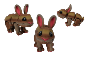 Mini Rabbit
