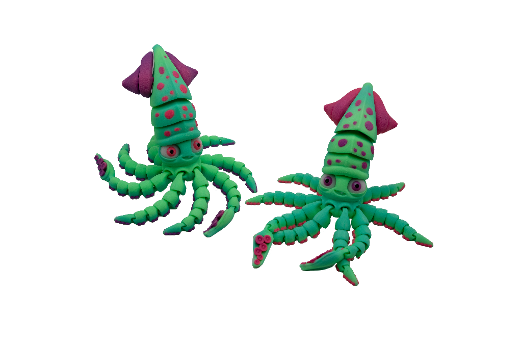 Squid
